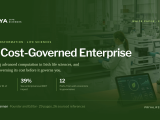 The Cost-Governed Enterprise: A Financial Governance Playbook for AI in Irish Life Sciences