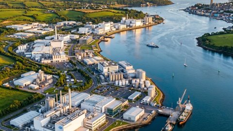 Leading CDMO Companies in Ireland: Your Complete Guide to Contract Manufacturing in 2026